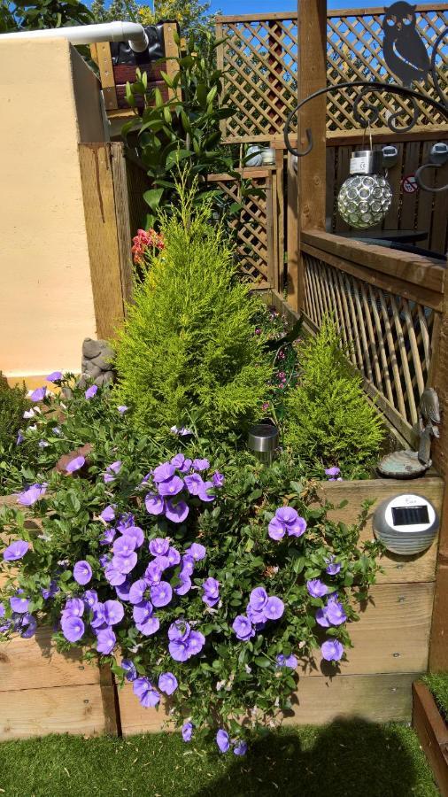 Owly 'Ouse Bed & Breakfast Barnstaple Exterior photo