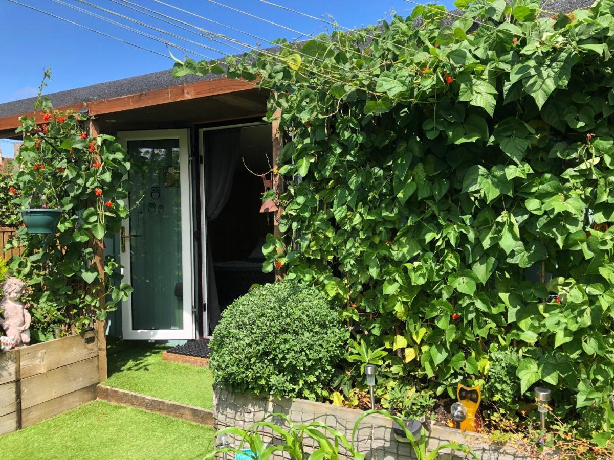 Owly 'Ouse Bed & Breakfast Barnstaple Exterior photo