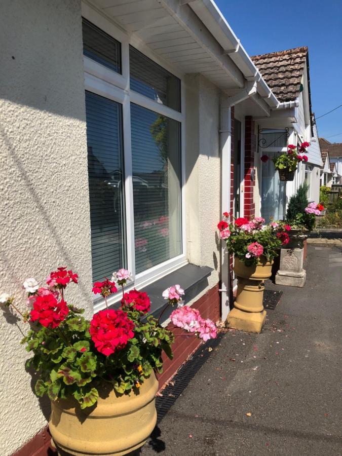 Owly 'Ouse Bed & Breakfast Barnstaple Exterior photo