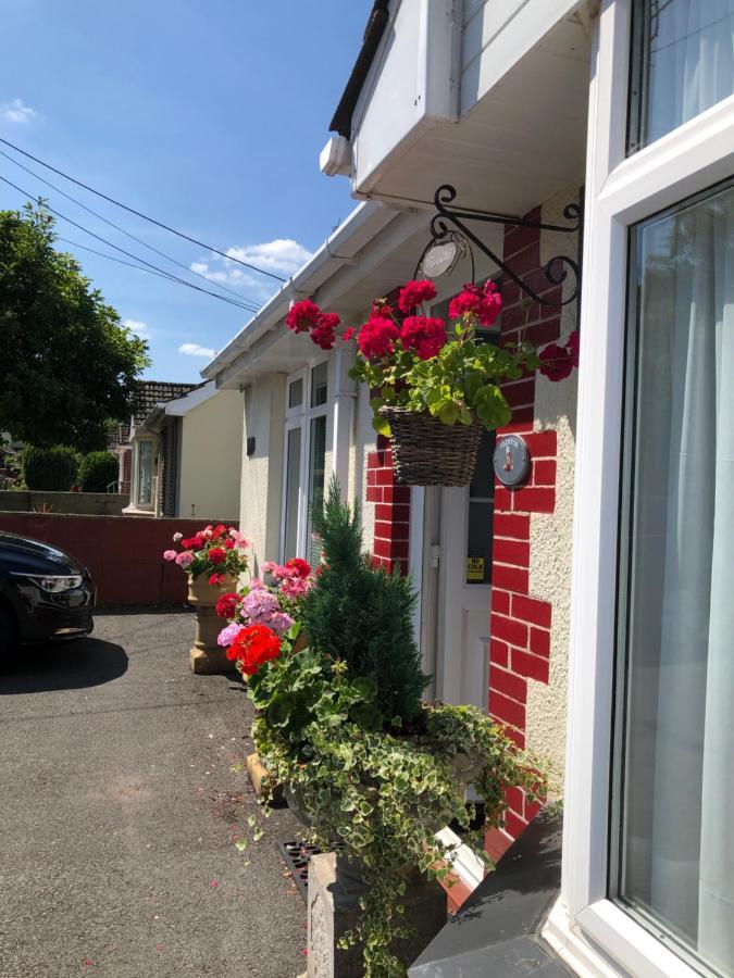 Owly 'Ouse Bed & Breakfast Barnstaple Exterior photo