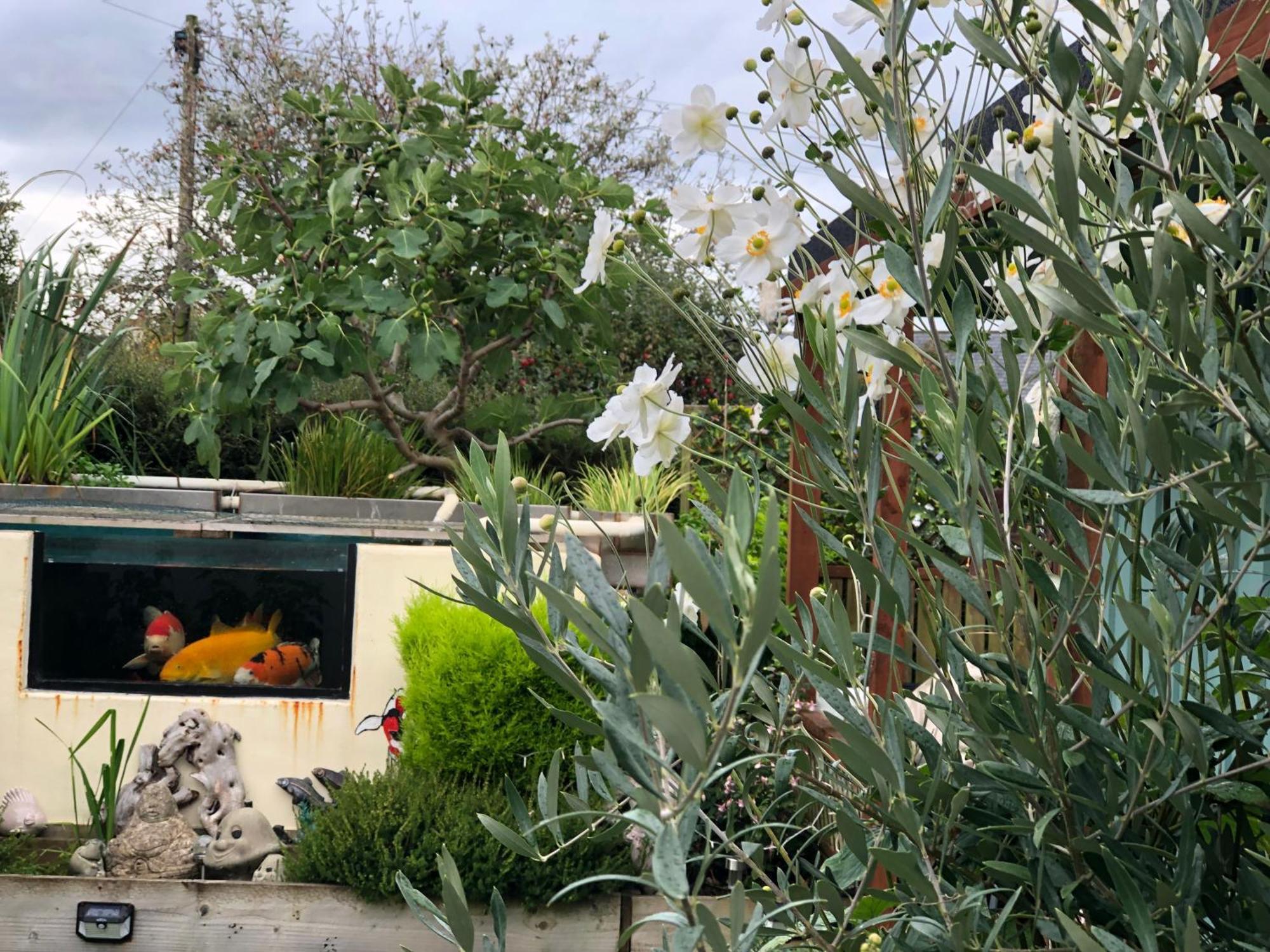 Owly 'Ouse Bed & Breakfast Barnstaple Exterior photo